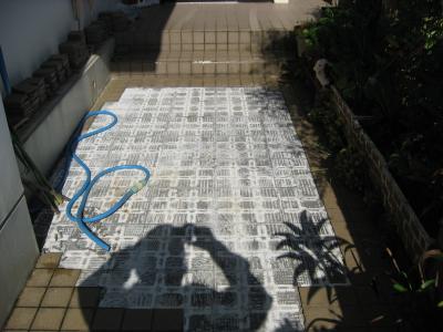 101_2501_convert_20110216153546.jpg