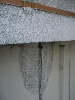 101_3057_convert_20110402173603.jpg