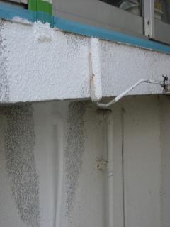 101_3059_convert_20110402173709.jpg