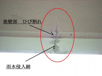 IMG_9197蝙ょ」√・縺ウ蜑イ繧契convert_20141024093332