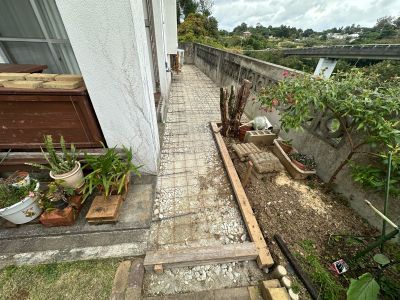 202603103.jpg
