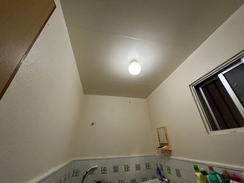 406171.jpg