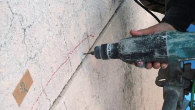 IMG_0301_convert_20110411075130.jpg