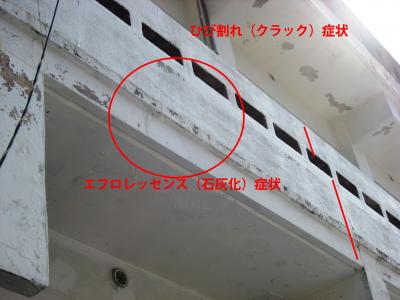 IMG_07125_convert_20151127095019.jpg