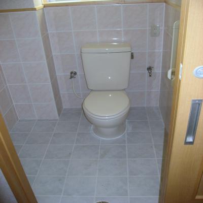 IMG_2390_convert_20110113140002.jpg