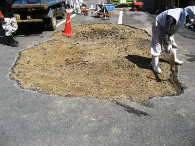 IMG_3521_convert_20110622093626.jpg