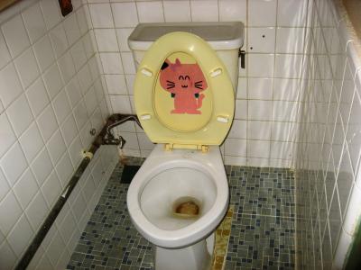 IMG_4304_convert_20120517182843.jpg