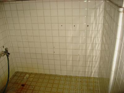 IMG_4307_convert_20120517183119.jpg