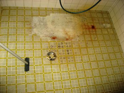 IMG_4308_convert_20120517183325.jpg