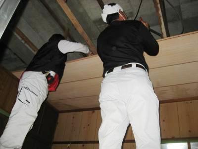 IMG_4492_convert_20120210131312.jpg