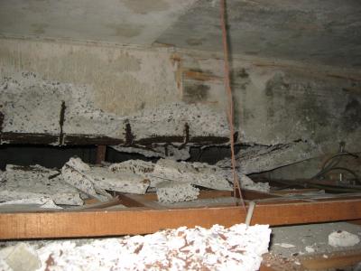 IMG_5031_convert_20120601155430.jpg