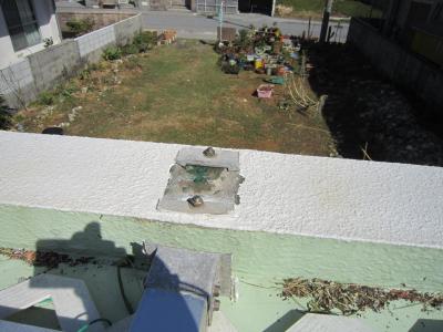 IMG_5349_convert_20121201135303.jpg