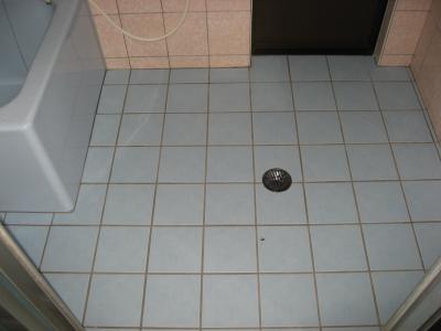 IMG_5940_convert_20121212134142.jpg