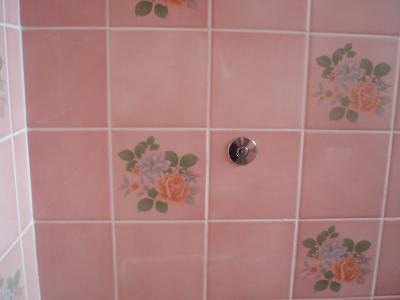 P9181676_convert_20141104154839.jpg