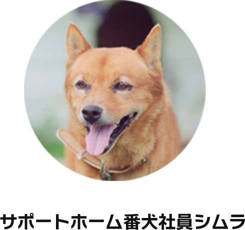 サポートホーム番犬社員シムラ